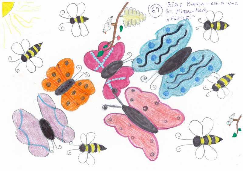 69_Bianca BIRLE_Miresu Mare.jpg